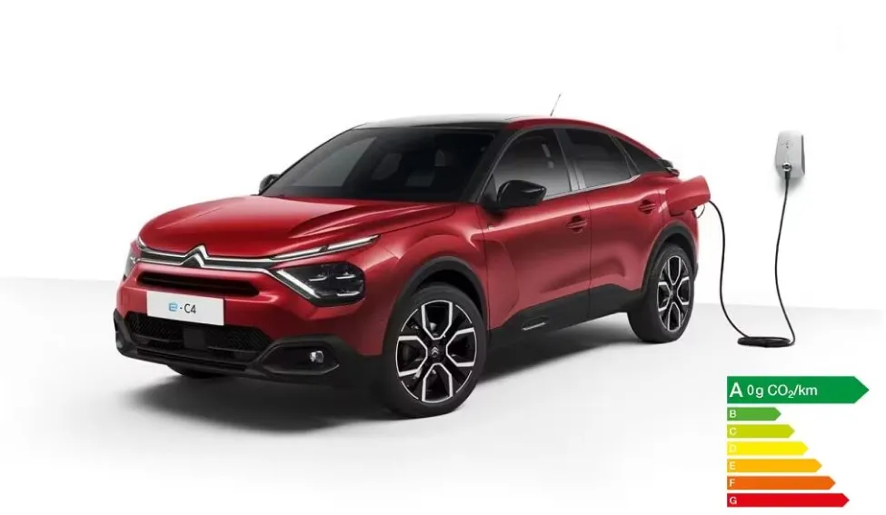 vente voiture électrique à Château-la-Vallière dans l'Indre-et-Loire 37